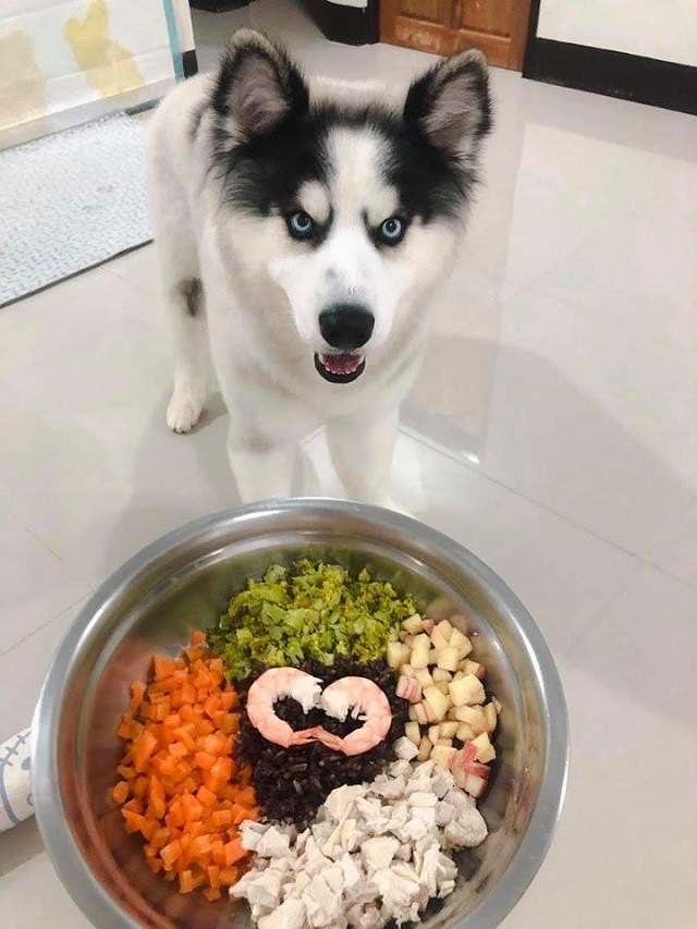 Husky dog ​​nutrition