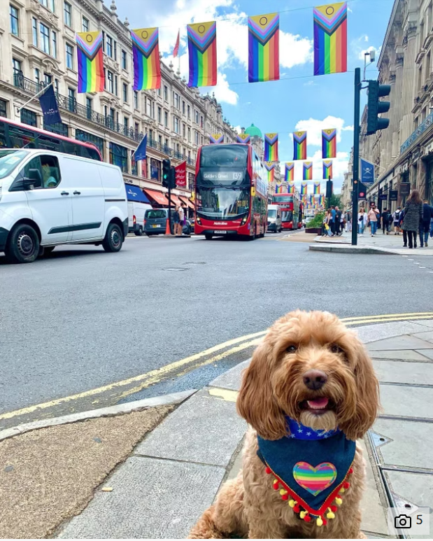 Lady wore a Pride bandana for the parade on Saturday (Becca Ives/PA)