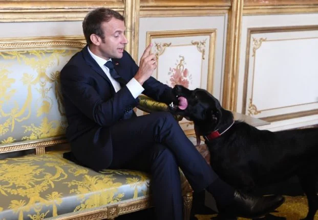 Macron and Nemo. Photo: AFP