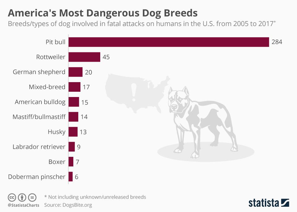 Breeds of dog involved in fatal attacks on humans in the U.S. from 2005 to 2017 STATISTA