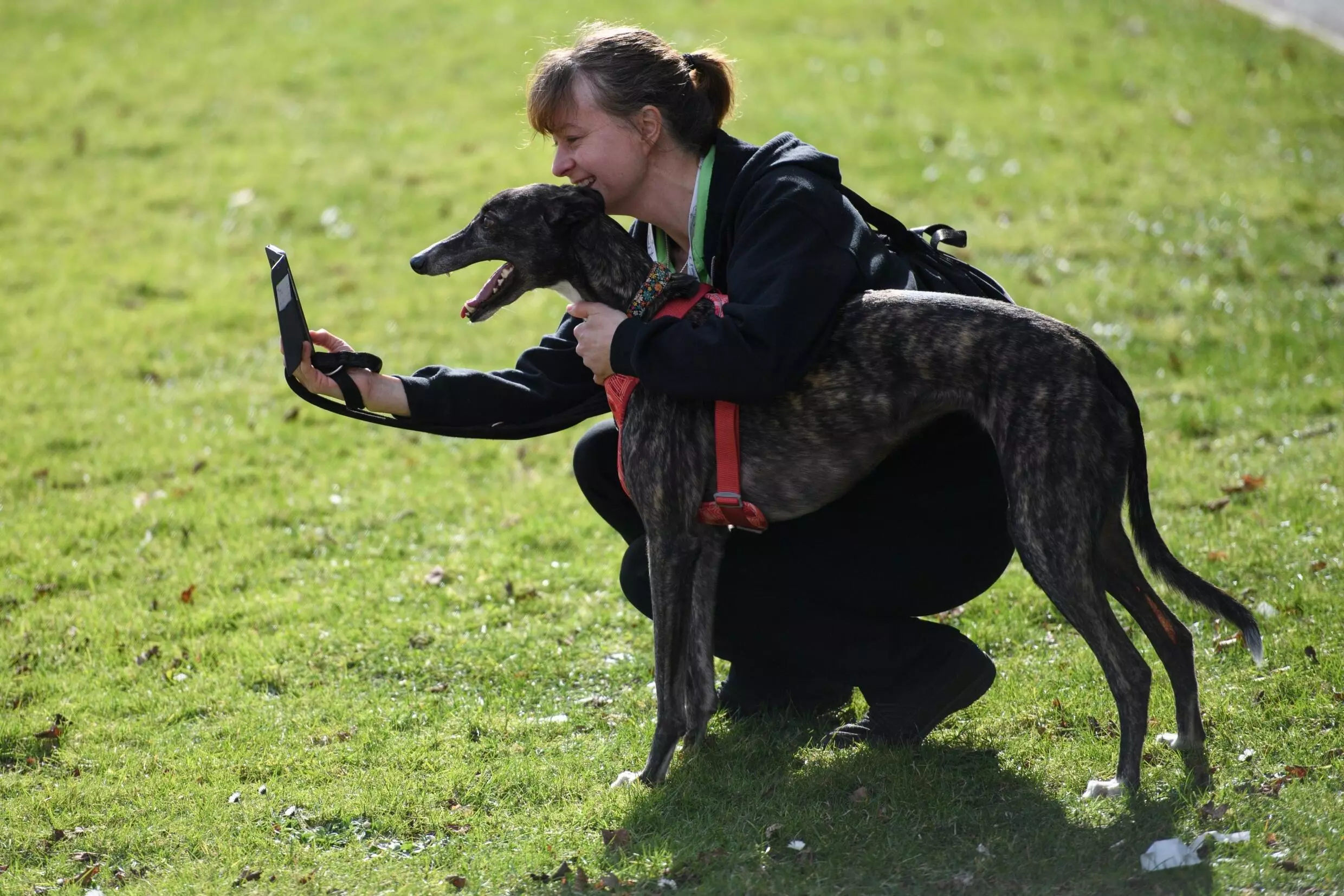 Organisers The Kennel Club have banned Russian owners and their pets because of the invasion of Ukraine OLI SCARFF AFP